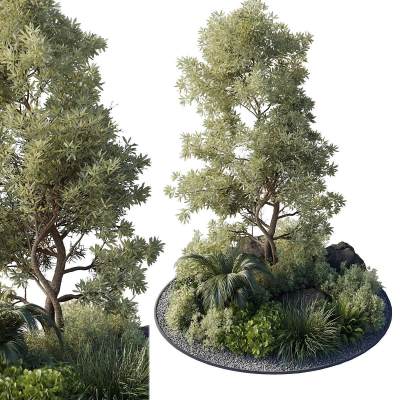 景观植物堆 植物花圃盆栽